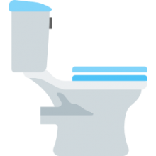Automatic Closing Toilet Seats