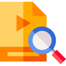 Portable Video Magnifiers