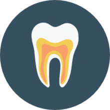 Intraoral Dental Cameras